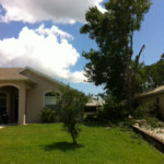 photo12