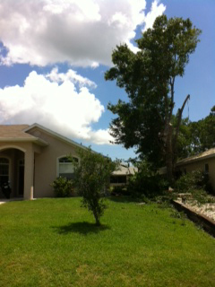 photo12