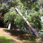 photo14