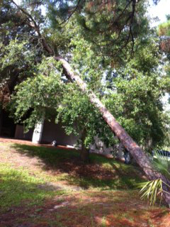 photo14