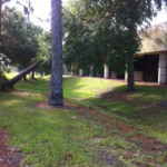 photo15