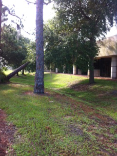 photo15