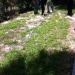 photo16