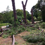 photo18