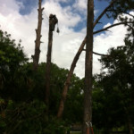photo20