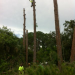 photo21