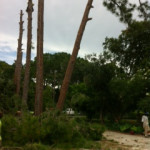 photo22