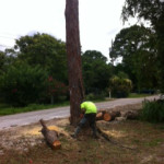 photo23