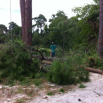 photo24