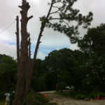 photo28