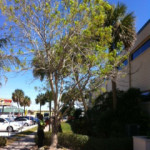 photo3