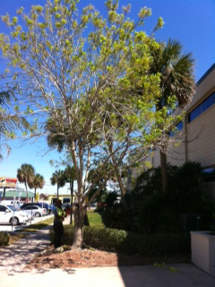 photo3