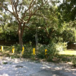 photo31