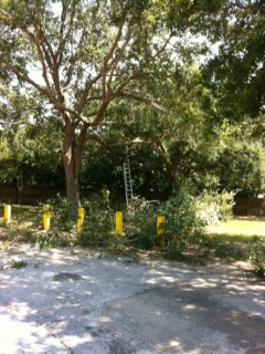 photo31