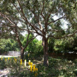 photo34