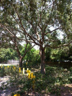 photo34
