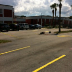 photo38
