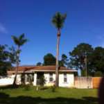 photo4