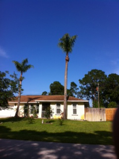 photo4