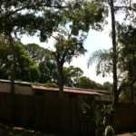photo5