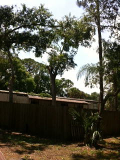 photo5