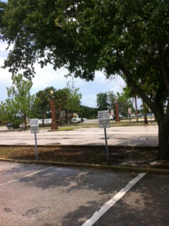 photo6