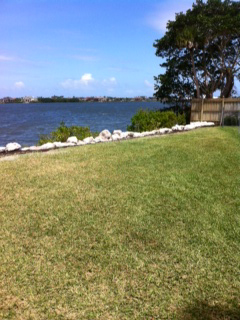 photo9