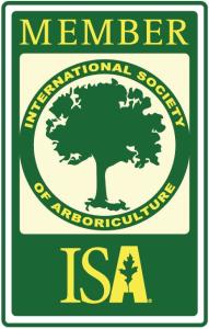 ISA-Logo
