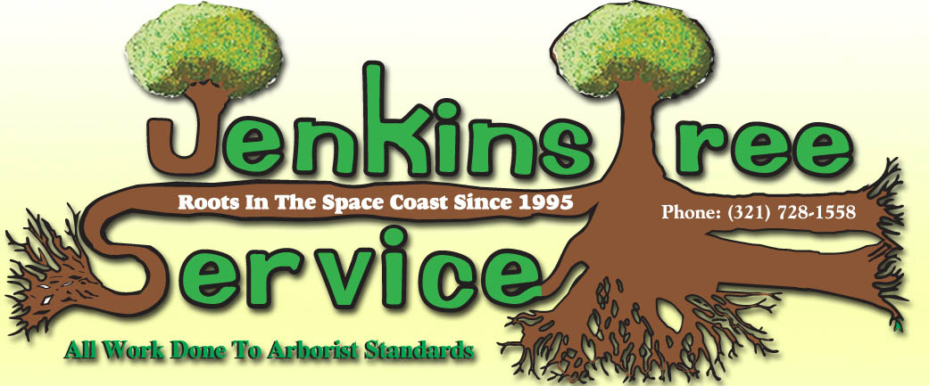 Jenkins Tree Service 